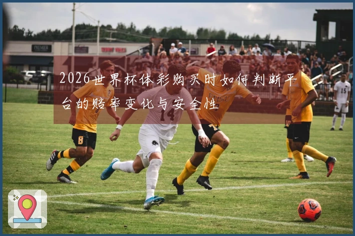 2026世界杯体彩购买时如何判断平台的赔率变化与安全性