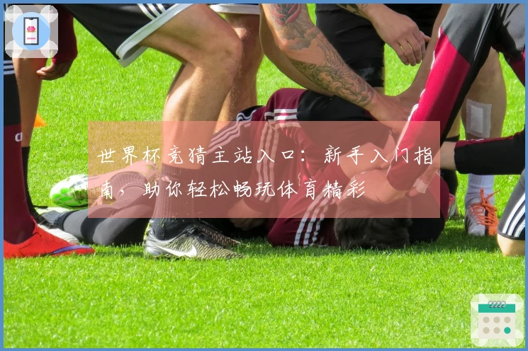 世界杯竞猜主站入口：新手入门指南，助你轻松畅玩体育精彩