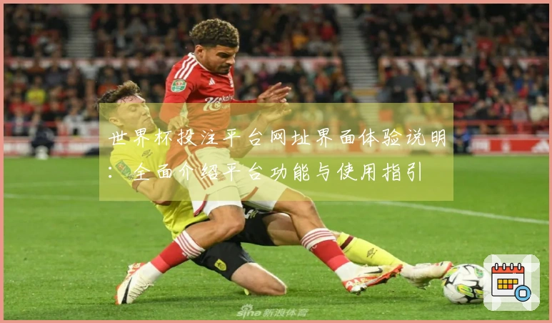 世界杯投注平台网址界面体验说明：全面介绍平台功能与使用指引