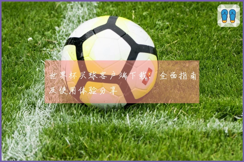 世界杯买球客户端下载：全面指南及使用体验分享