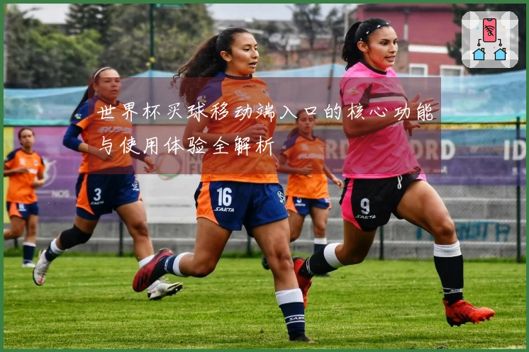 世界杯买球移动端入口的核心功能与使用体验全解析