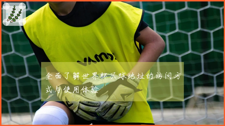 全面了解世界杯买球地址的访问方式与使用体验