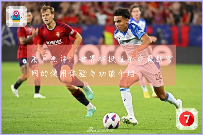 用户测评：世界杯投注平台最新官网的使用体验与功能介绍