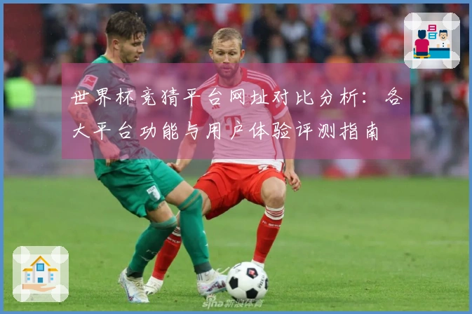 世界杯竞猜平台网址对比分析：各大平台功能与用户体验评测指南