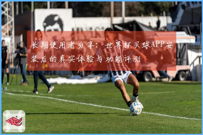 长期使用者分享：世界杯买球APP安装后的真实体验与功能评测