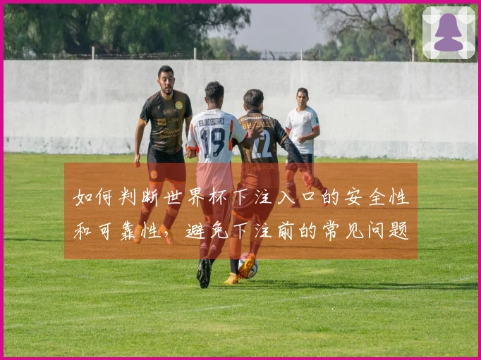 如何判断世界杯下注入口的安全性和可靠性，避免下注前的常见问题？