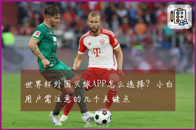 世界杯外围买球APP怎么选择？小白用户需注意的几个关键点