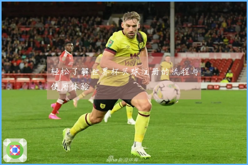 轻松了解世界杯买球注册的流程与使用体验